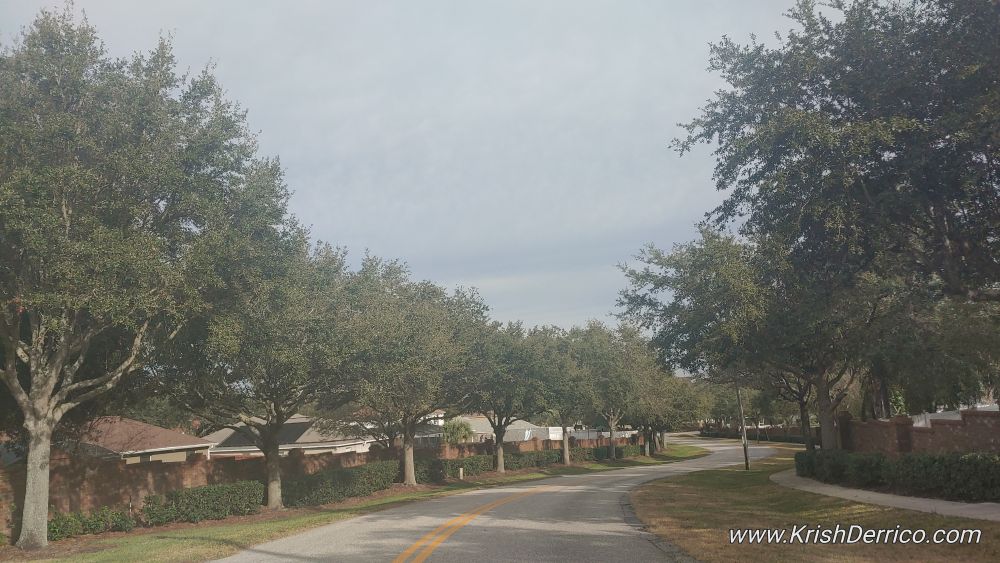 Johns Lake Estates Clermont Florida Homes for Sale