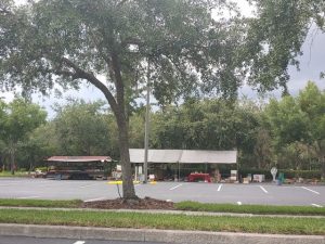 Solivita Farmers Market