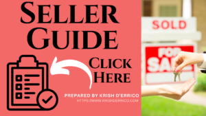 Seller Guide free pdf download